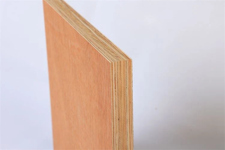 أرضيات الحاويات